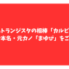 相馬トランジスタ　カルビ